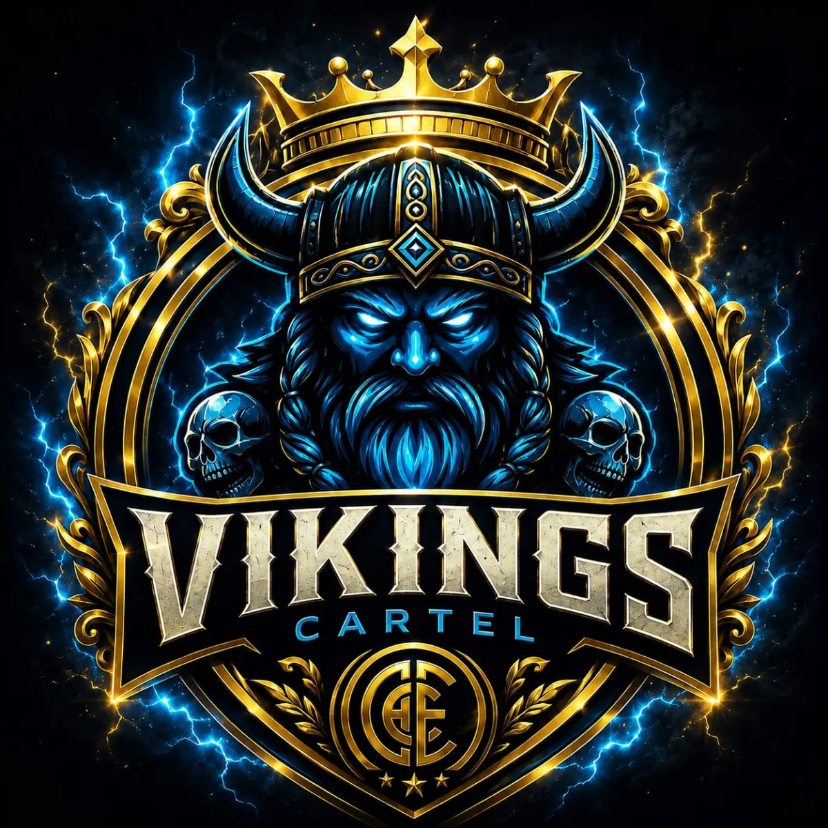 Logo de VIKINGSCARTEL