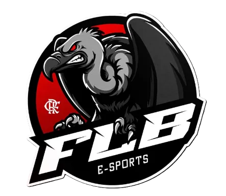Escudo da equipe FLB  ES